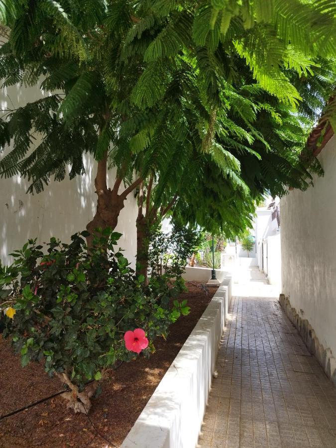 Casa De Maria Luisa Daire Arona  Dış mekan fotoğraf