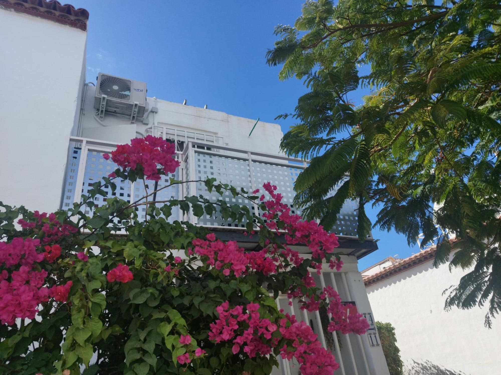 Casa De Maria Luisa Daire Arona  Dış mekan fotoğraf